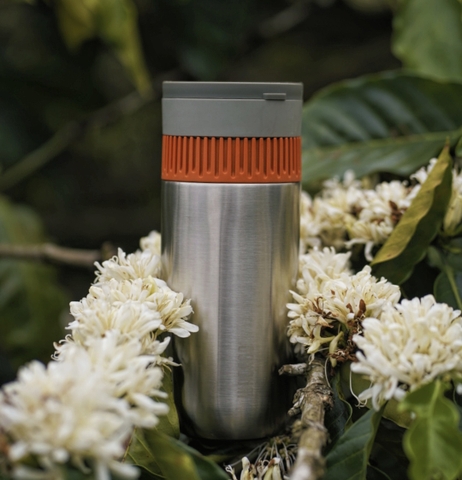 Vì sao Pipamoka là dụng cụ pha hoàn hảo cho chuyến dã ngoại của bạn?