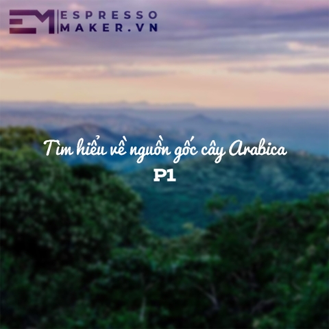 Tìm hiểu về nguồn gốc cây Arabica