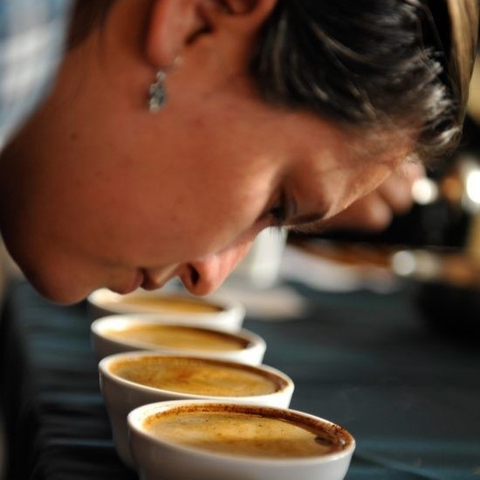 Mùi hương trong cà phê viên nén – Chúng đến từ đâu?