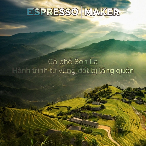 Cà phê Sơn La – Hành trình từ vùng đất bị lãng quên đến viên nén cà phê Solita đầy tự hào
