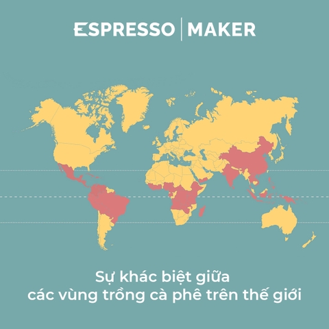 Từ Ethiopia đến Colombia – Sự khác biệt giữa các vùng trồng cà phê trên thế giới