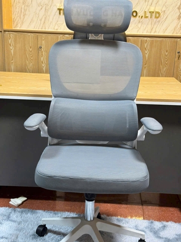 Ghế công thái học - Mẫu 01