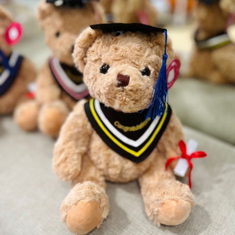Gấu Teddy tốt nghiệp 30cm