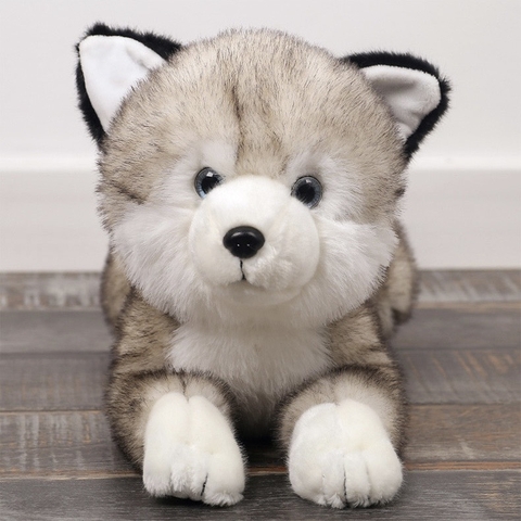 Gấu bông cún Dudu và Husky