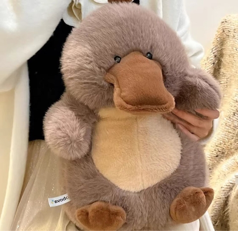 Hội thú Chubby bụ bẫm 40cm