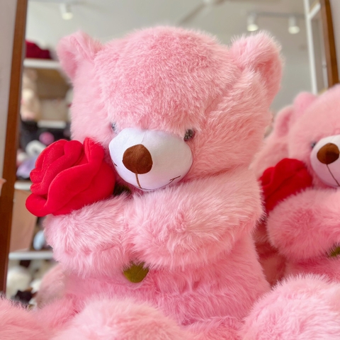 Teddy lông kim ôm hoa