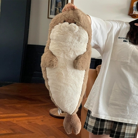 Hải cẩu bụng béo Habi