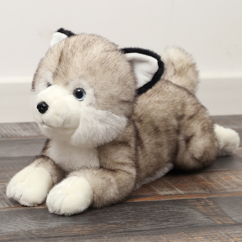 Gấu bông cún Dudu và Husky