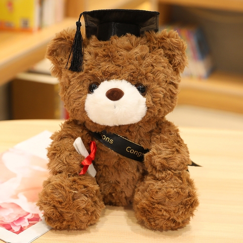 Gấu Teddy Lucky tốt nghiệp