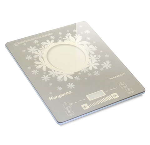 Bếp điện từ đơn KG417i