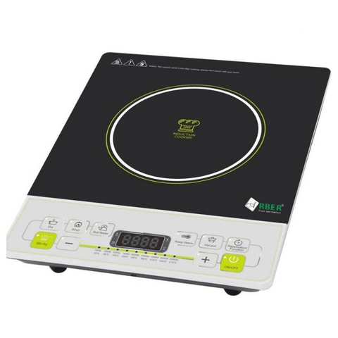 Bếp từ đơn AB - 300
