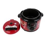 NỒI ĐA NĂNG SEOUL SEO TSU 300A