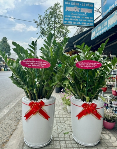 kim-tien-khai-truong-chau-su-300