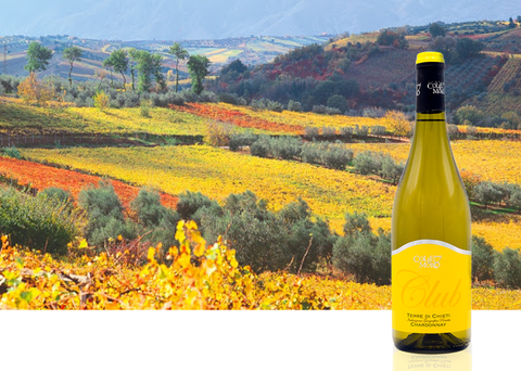 vang trắng colle moro chardonnay wine cellar saigon
