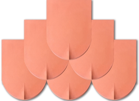 Ngói mũi hài 270 Viglacera Hạ Long