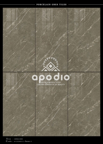 Gạch Ốp Lát Gạch APODIO kích thước 60x120cm - 61226011