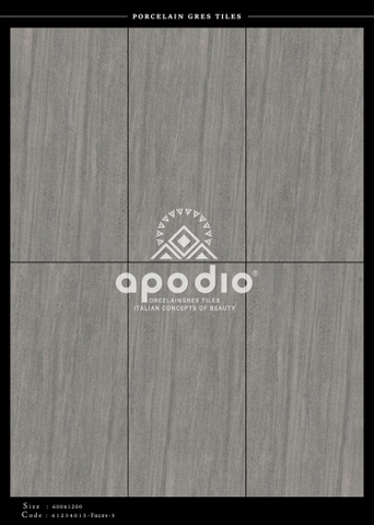 Gạch Ốp Lát Gạch APODIO kích thước 60x120cm - 61234015