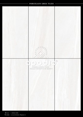 Gạch Ốp Lát Gạch APODIO kích thước 60x120cm - 61235004