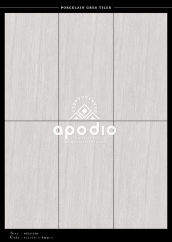 Gạch Ốp Lát Gạch APODIO kích thước 60x120cm - 61235015