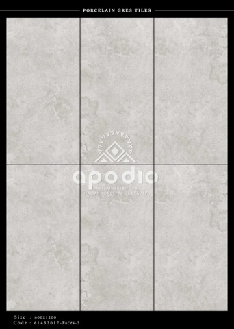 Gạch Ốp Lát Gạch APODIO kích thước 60x120cm - 61432017