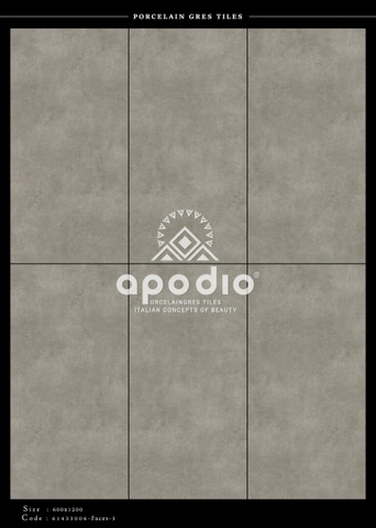 Gạch Ốp Lát Gạch APODIO kích thước 60x120cm - 61433006