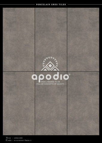 Gạch Ốp Lát Gạch APODIO kích thước 60x120cm - 61434006