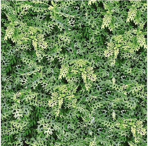 Gạch lát sân vườn Đồng tâm 40x40 4040GREENERY001