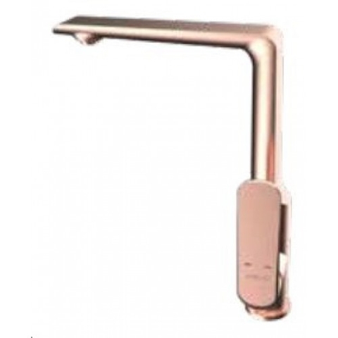 Vòi rửa bát Viglacera Platinum P.55.358 nóng lạnh