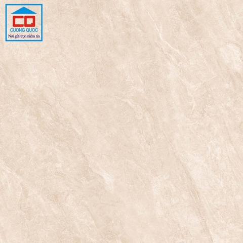 Gạch lát nền Việt Ý 80x80 VY1-P88008