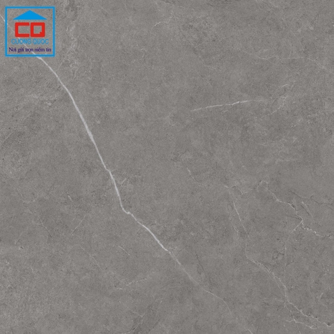Gạch lát nền Việt Ý 80x80 VY1-P88009