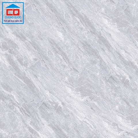 Gạch lát nền Việt Ý 80x80 VY1-P88011