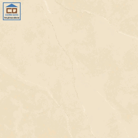 Gạch lát nền Việt Ý 80x80 VY1-P88013
