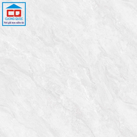 Gạch lát nền Việt Ý 80x80 VY1-P88014