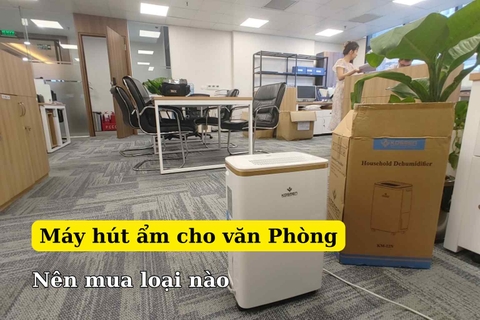 Máy Hút Ẩm Không Khí Cho Văn Phòng Nên Dùng Loại Nào?
