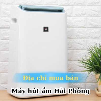 Máy hút ẩm Hải Phòng - Địa chỉ mua máy uy tín và chất lượng