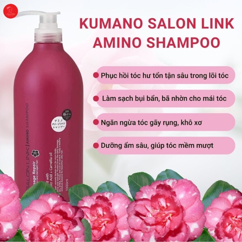 Set gội xả phục hồi hư tổn chiết xuất hoa trà Salon Link Amino 1000mL