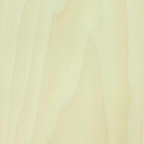 Gỗ Bạch Dương là gì? Những ưu điểm và điều cần lưu ý về gỗ Bạch Dương