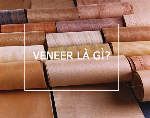 Ván Veneer là gì? Ứng dụng của ván gỗ Veneer trong nội thất