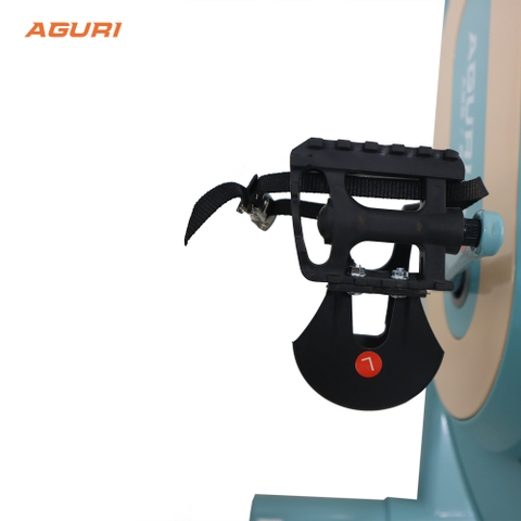 Xe đạp tập Aguri ,AGS -215 màu xanh