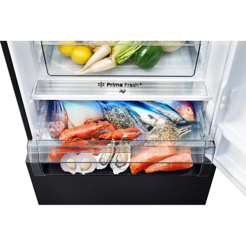 Tủ Lạnh Panasonic Inverter 420 Lít NR-BX471WGKV