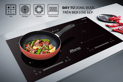 Chảo sâu đáy từ Sunhouse 28 SHS28MO