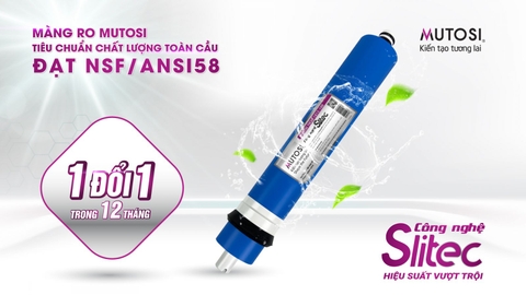 Máy lọc nước Mutosi MP-100HIC