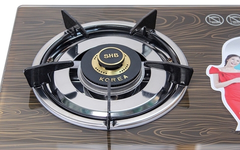 Bếp ga đôi Sunhouse Apex APB3551