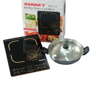 Bếp từ đơn Sanaky BTS22B