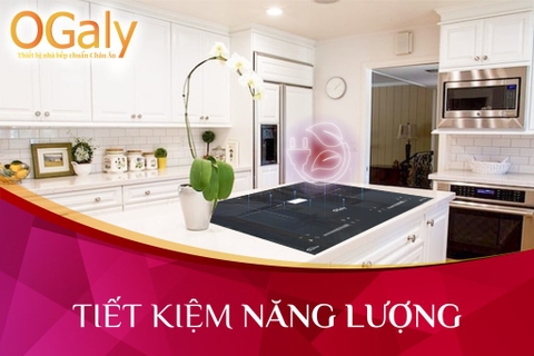 Bếp từ đôi Ogaly D8233