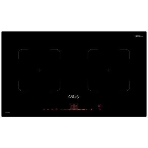 Bếp từ đôi Ogaly OG-D8600