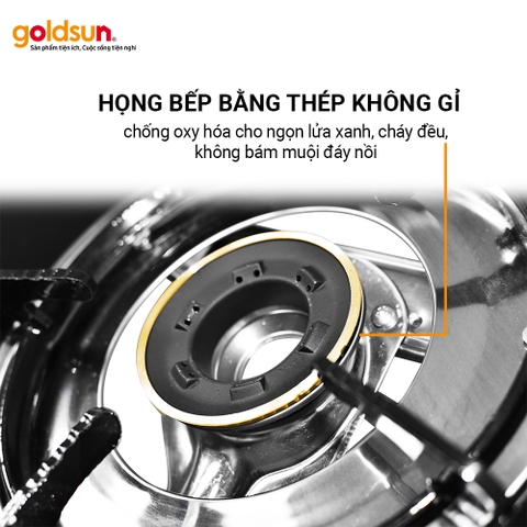 Bếp Gas Dương Goldsun GGS7009