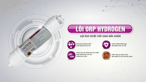 Máy lọc nước Mutosi MP-100HIC