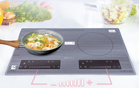 Bếp từ đôi Ogaly D8100