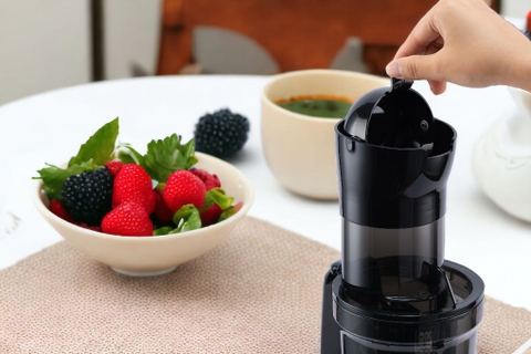 Máy ép chậm Hawonkoo SJH-002-GR